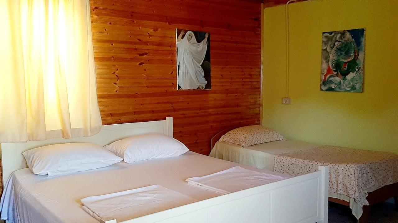 Kolonia E Artistave Apartment เวลิโปเยอ ภายนอก รูปภาพ